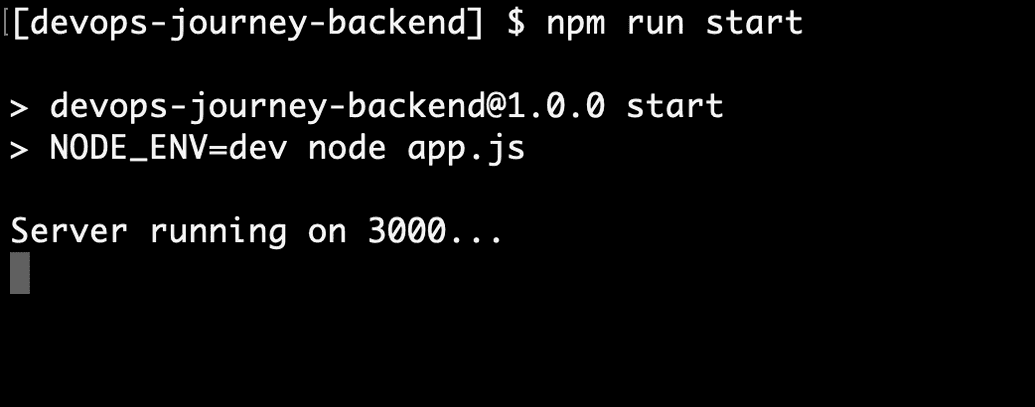 nodejs-app-run